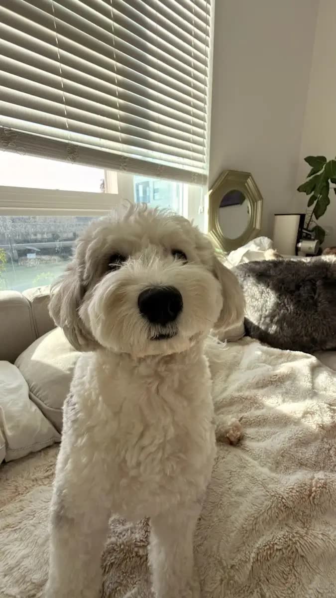 Nora