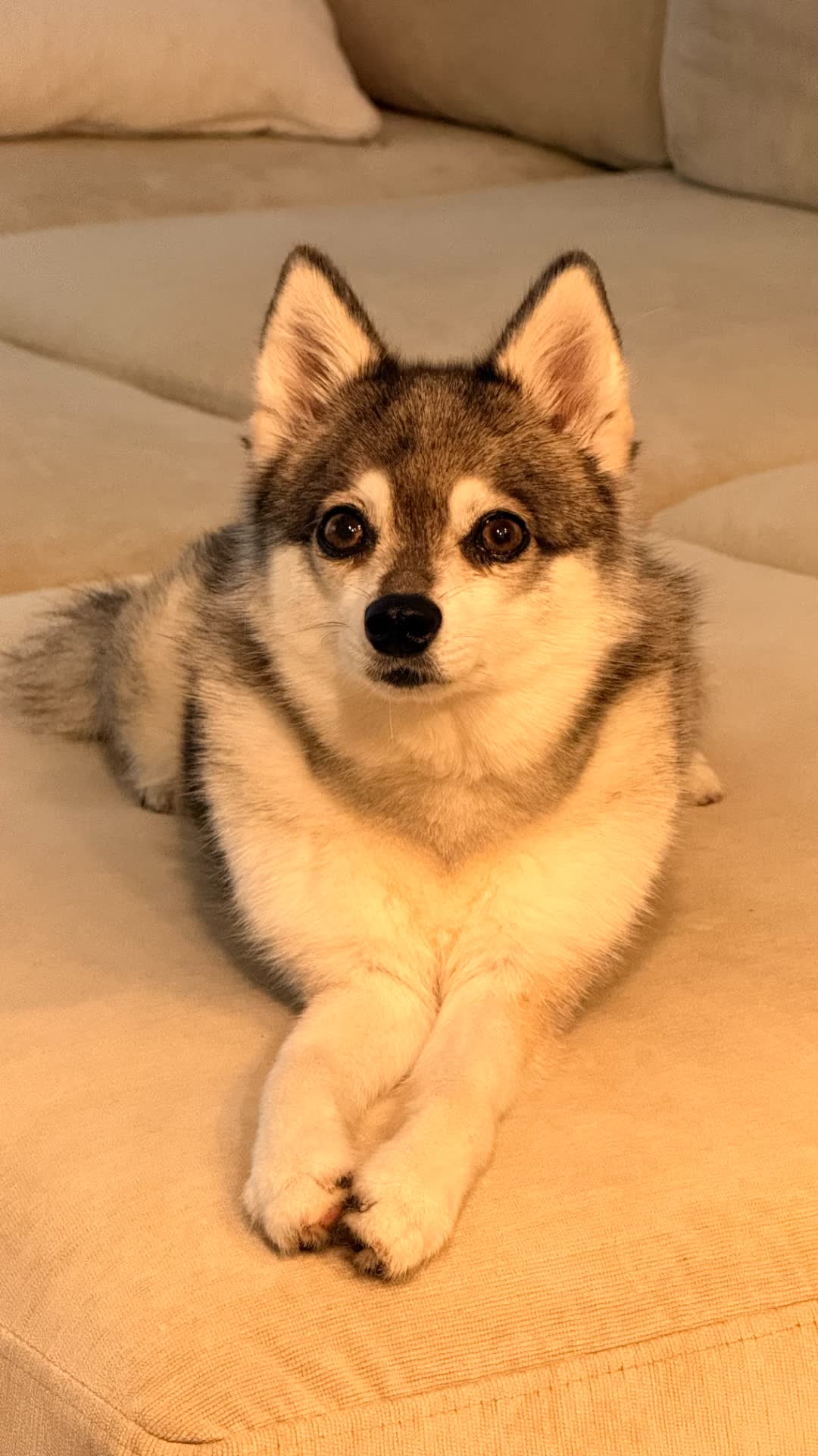 Penny
